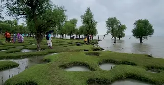 বরগুনার নিদ্রার চর: নাজুক পথ পেরিয়েও উপকূলীয় পর্যটনের নতুন গন্তব্য